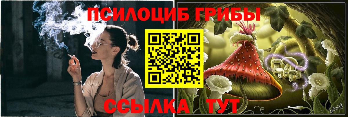 Ижевск  Псилоцибиновые грибы Psilocybine cubensis  купить наркоту  Вход с VPN 